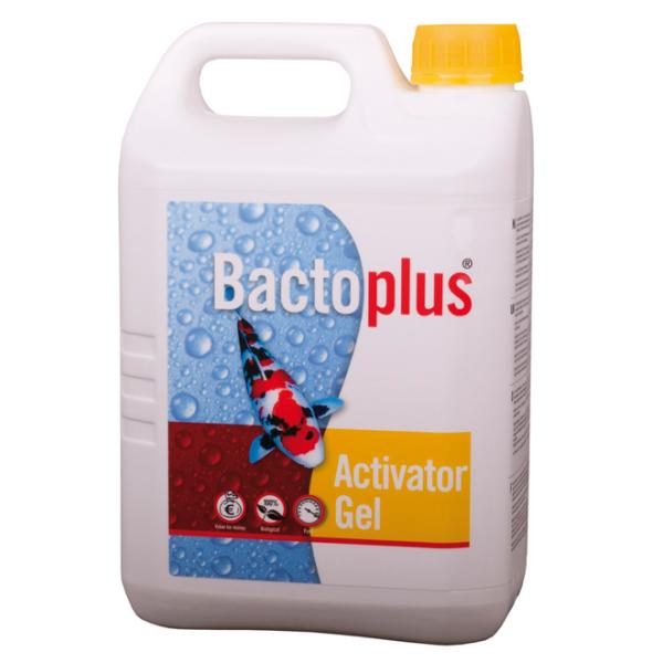 Bactoplus Activator Gel 2500ml 05050250 Bactoplus